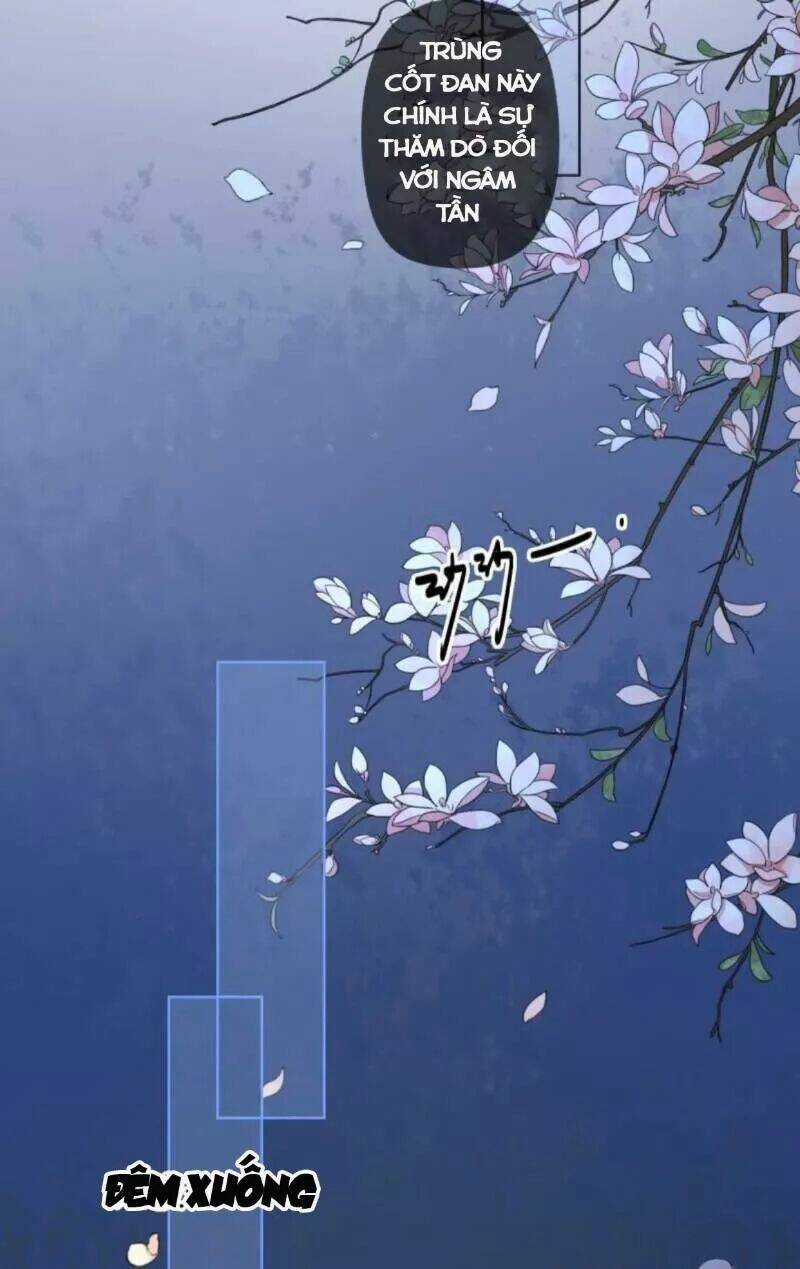 Sủng Phi Của Vương Chapter 151 trang 7