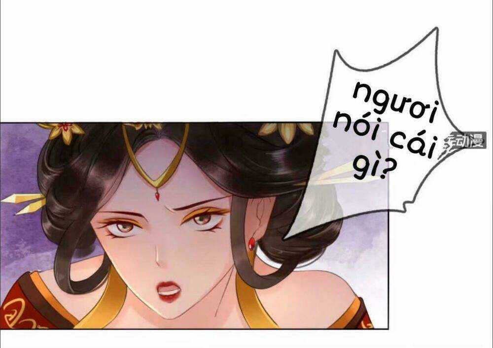Sủng Phi Của Vương Chapter 19 trang 10