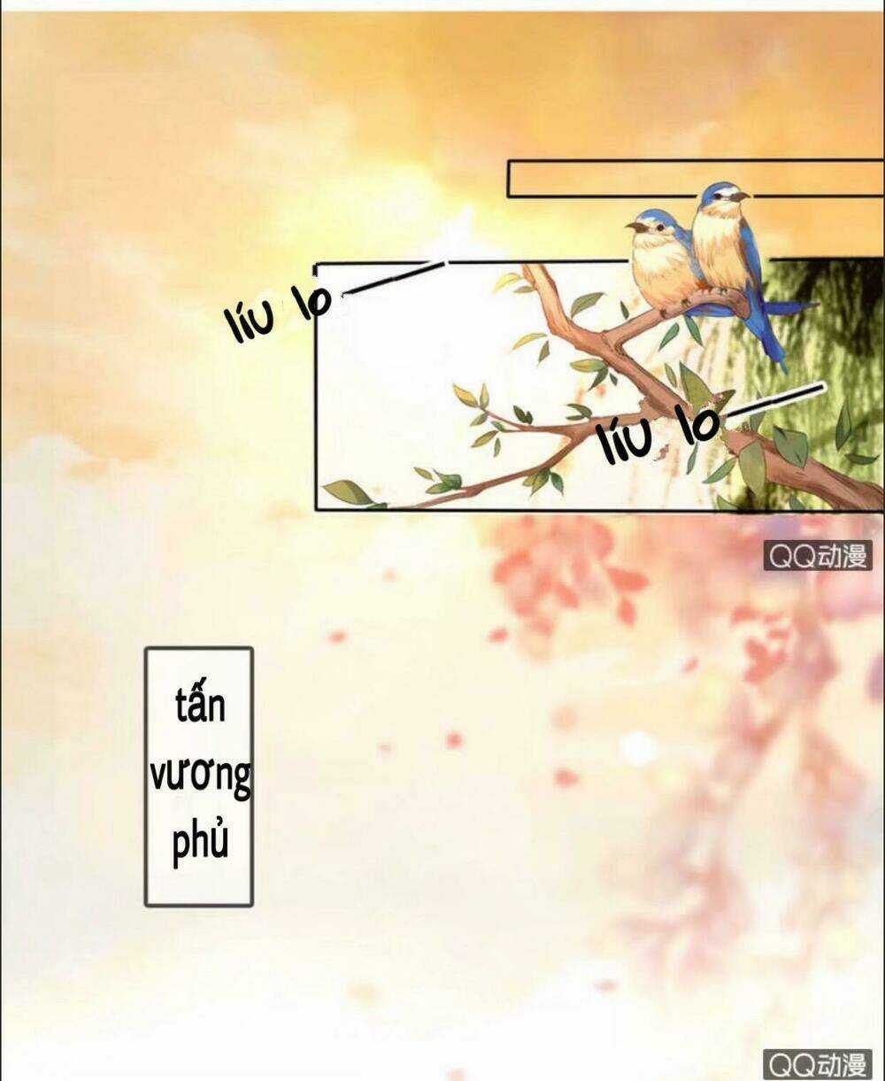 Sủng Phi Của Vương Chapter 22 trang 1