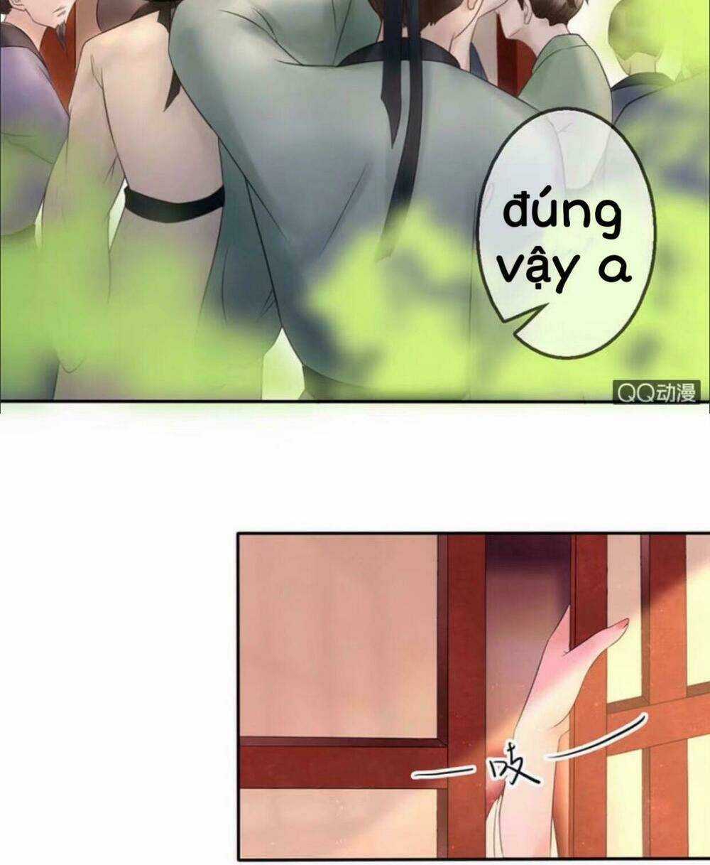 Sủng Phi Của Vương Chapter 24 trang 9