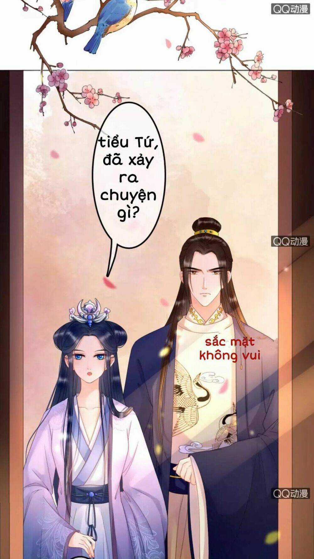 Sủng Phi Của Vương Chapter 31 trang 1