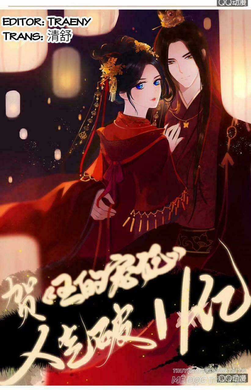 Sủng Phi Của Vương Chapter 38 trang 0
