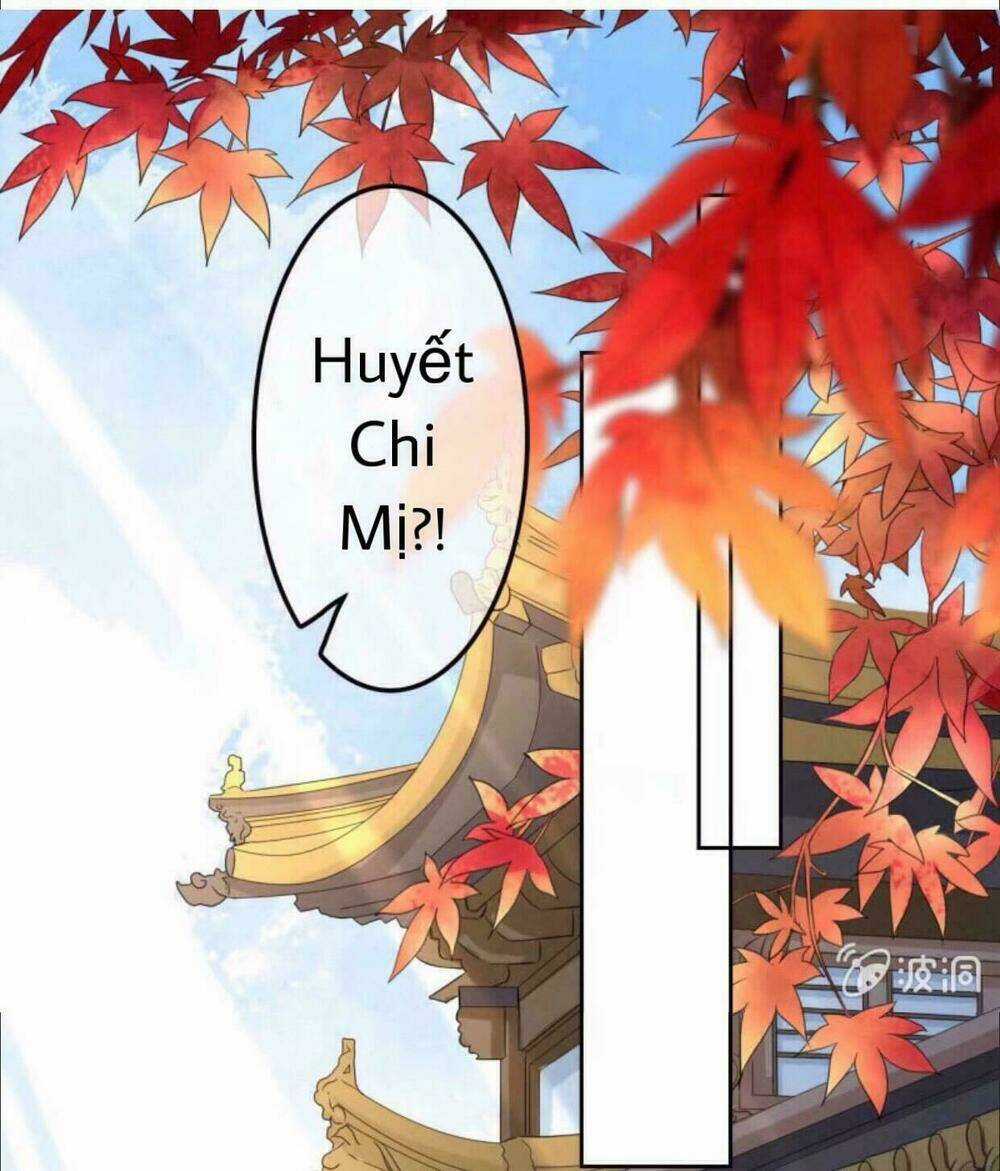 Sủng Phi Của Vương Chapter 40 trang 1