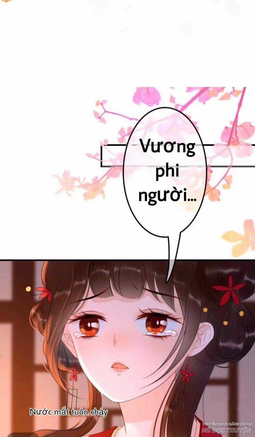 Sủng Phi Của Vương Chapter 54 trang 0