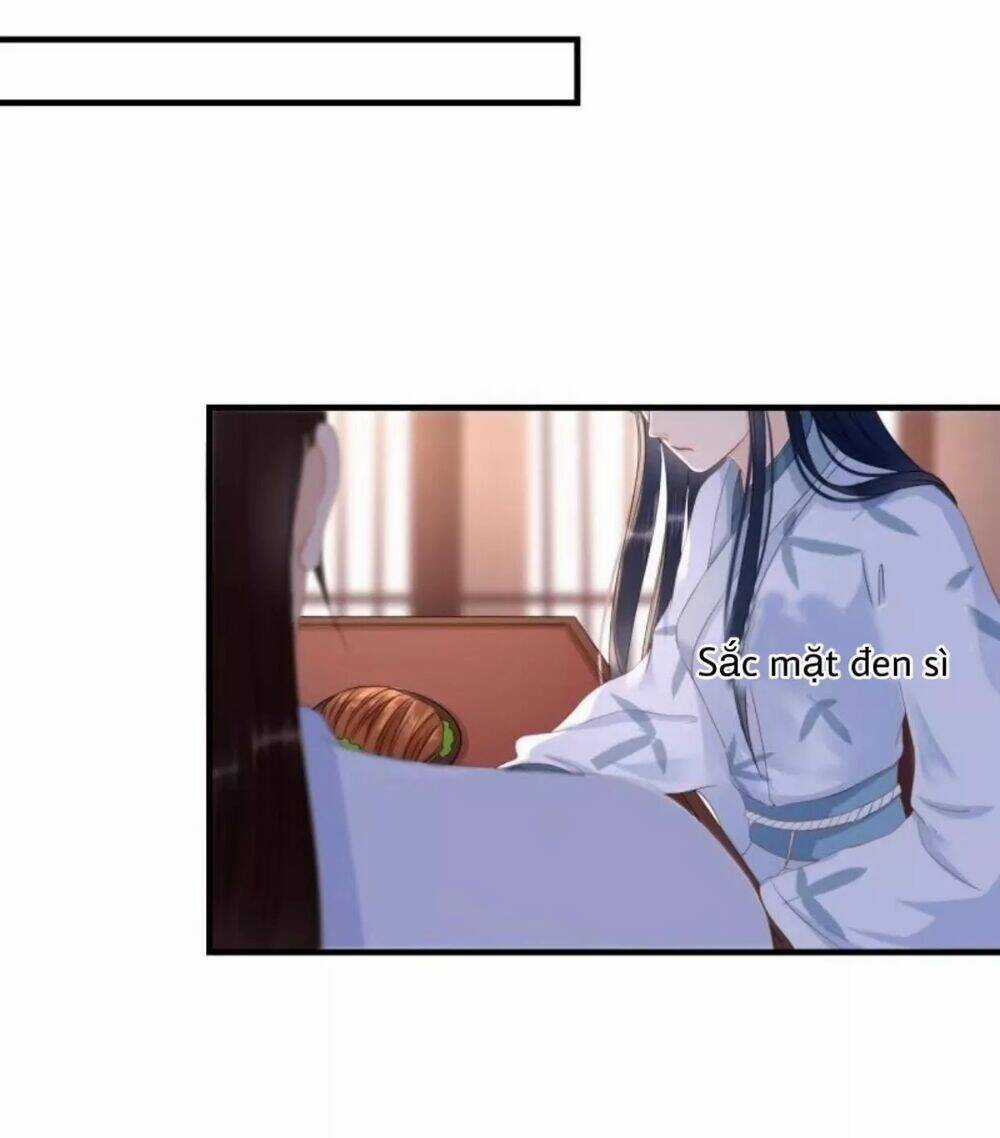 Sủng Phi Của Vương Chapter 61 trang 0