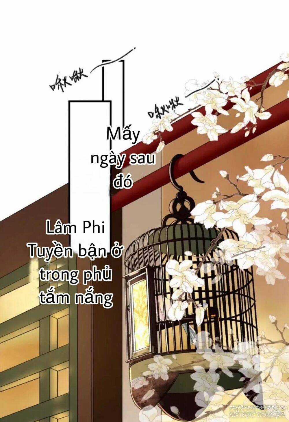 Sủng Phi Của Vương Chapter 66 trang 0