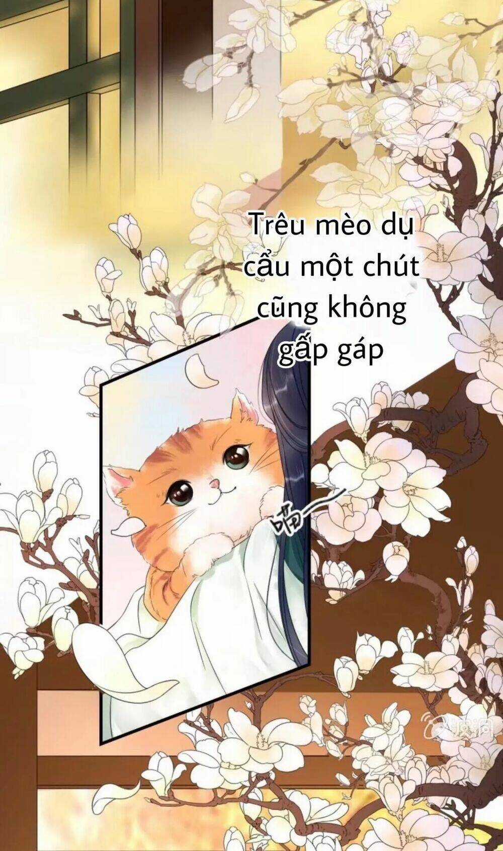 Sủng Phi Của Vương Chapter 66 trang 1