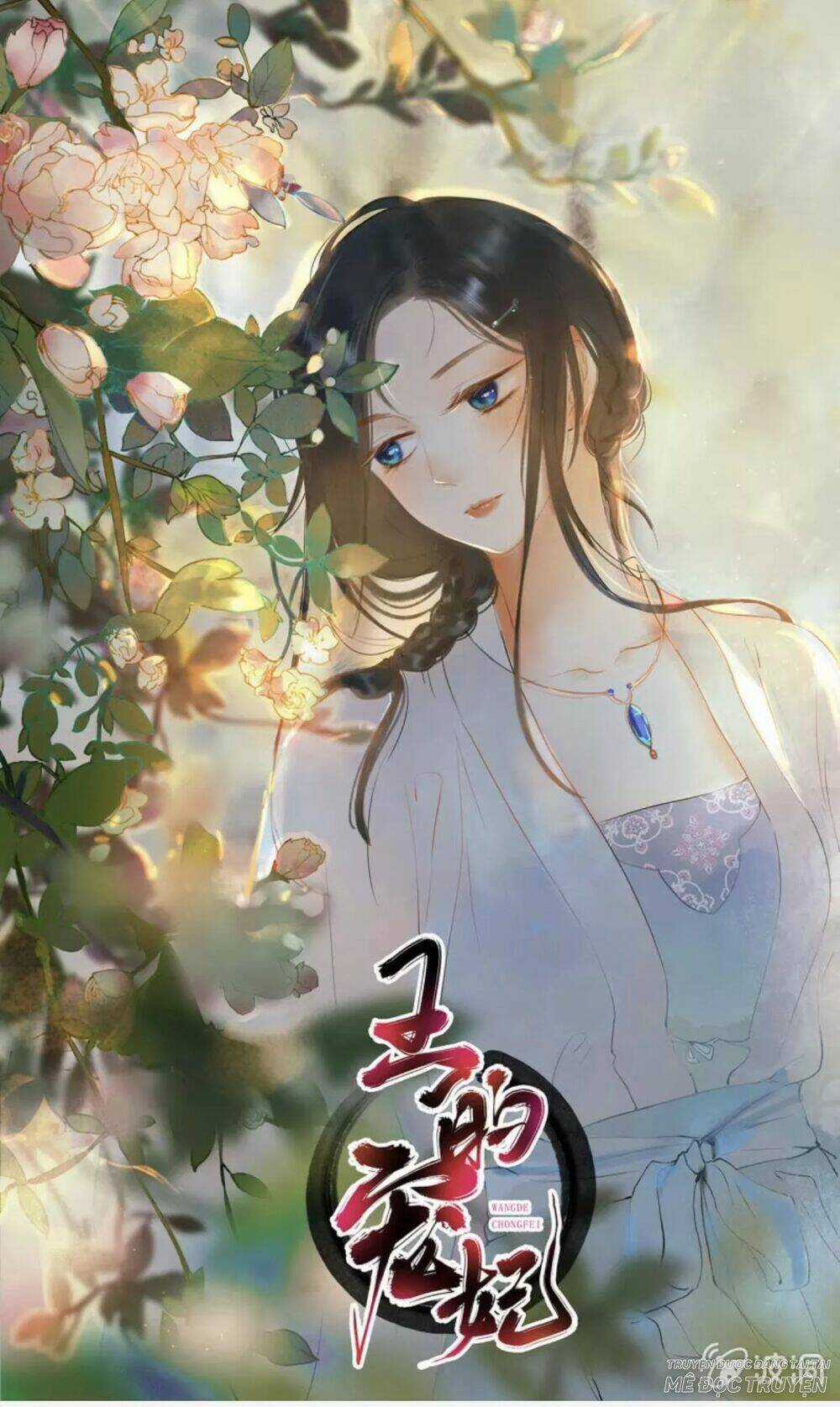 Sủng Phi Của Vương Chapter 67 trang 0