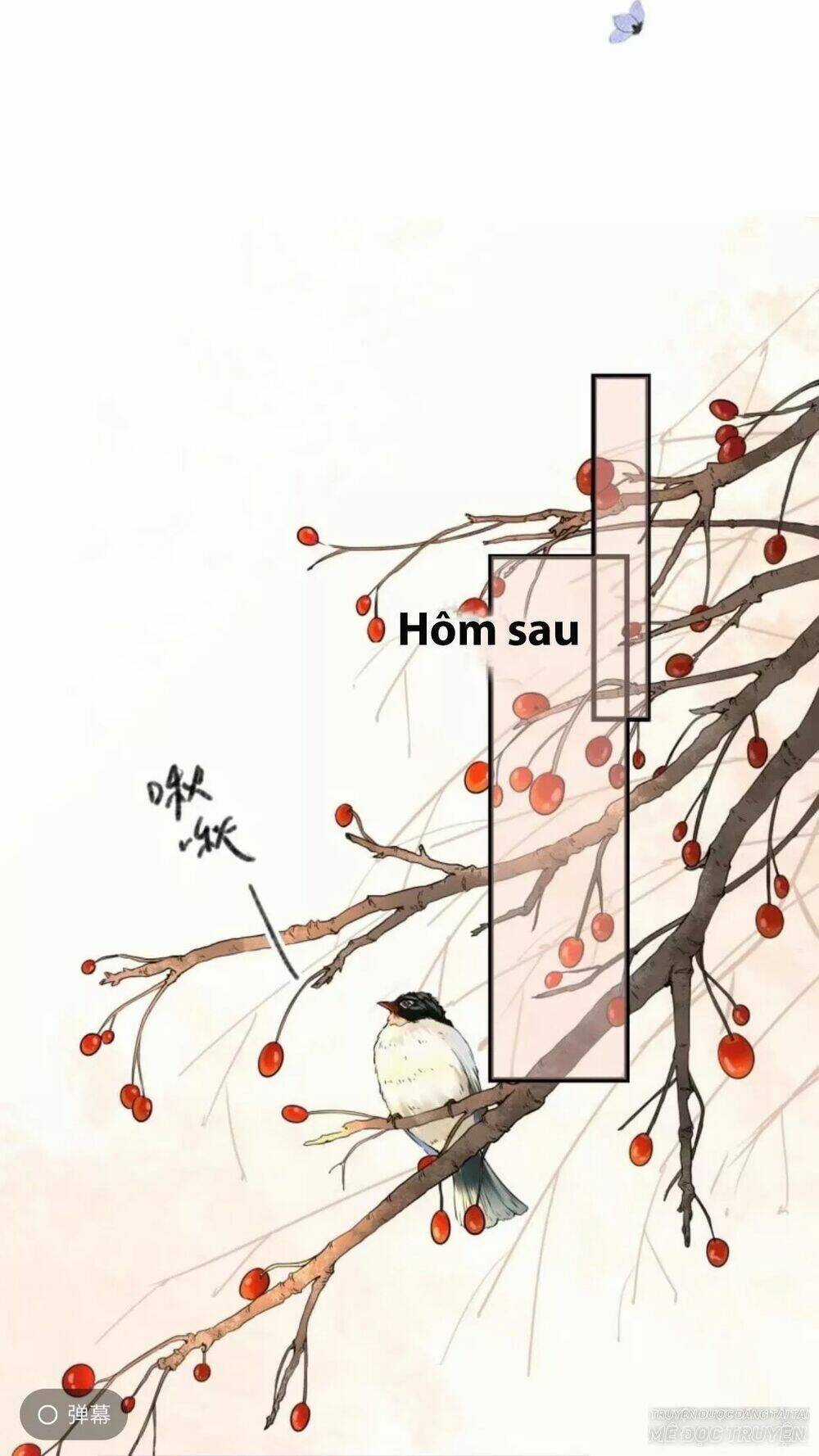 Sủng Phi Của Vương Chapter 84 trang 0