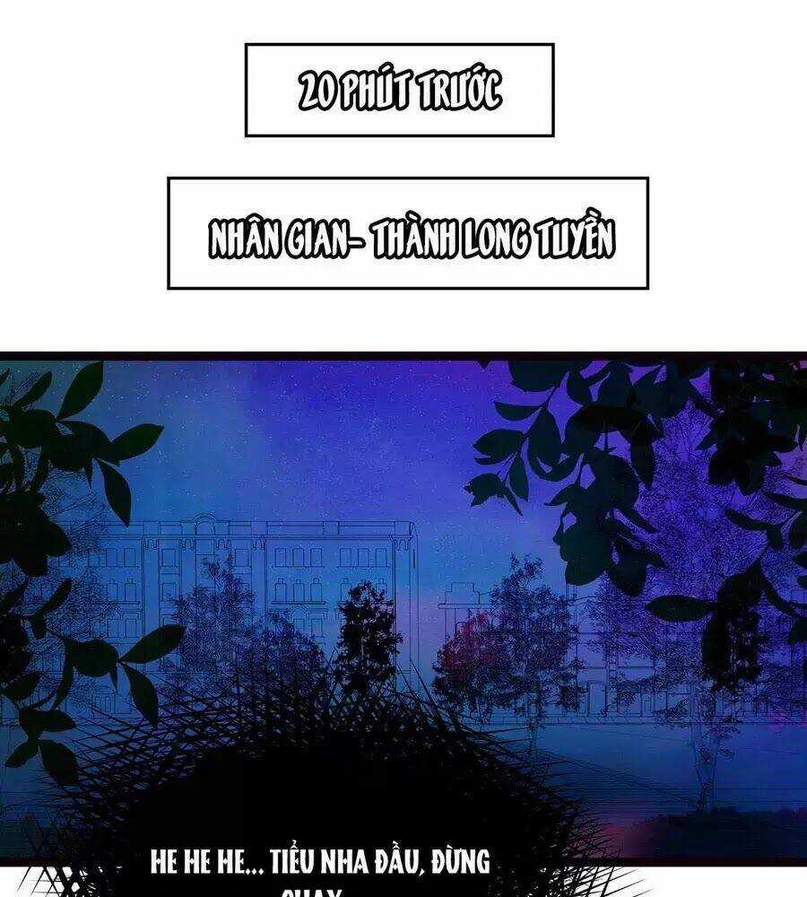 Sủng Thê Cuồng Ma Của Minh Vương Điện Hạ Chapter 1 trang 4