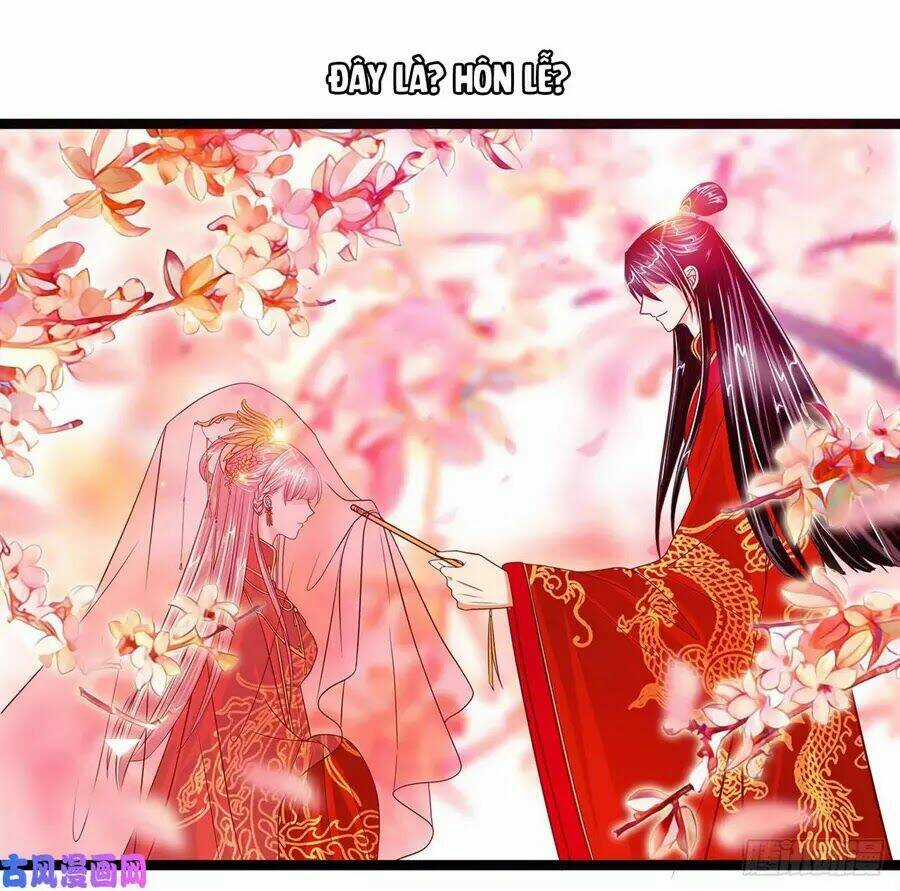 Sủng Thê Cuồng Ma Của Minh Vương Điện Hạ Chapter 4 trang 3