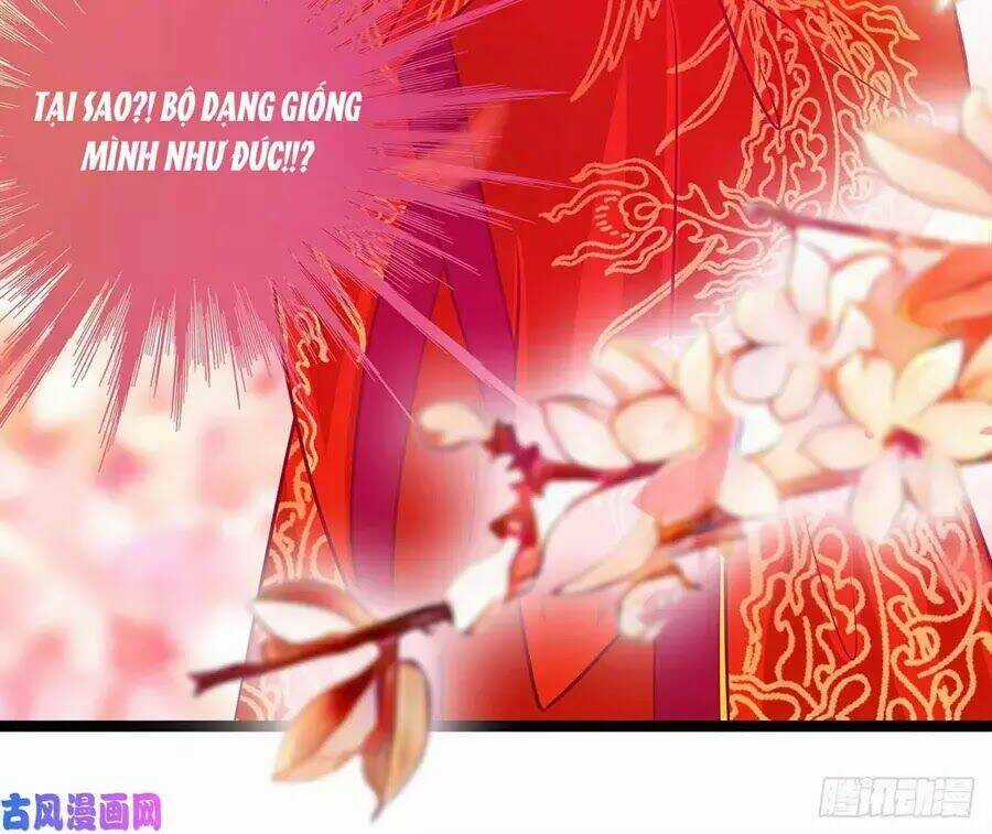 Sủng Thê Cuồng Ma Của Minh Vương Điện Hạ Chapter 4 trang 6