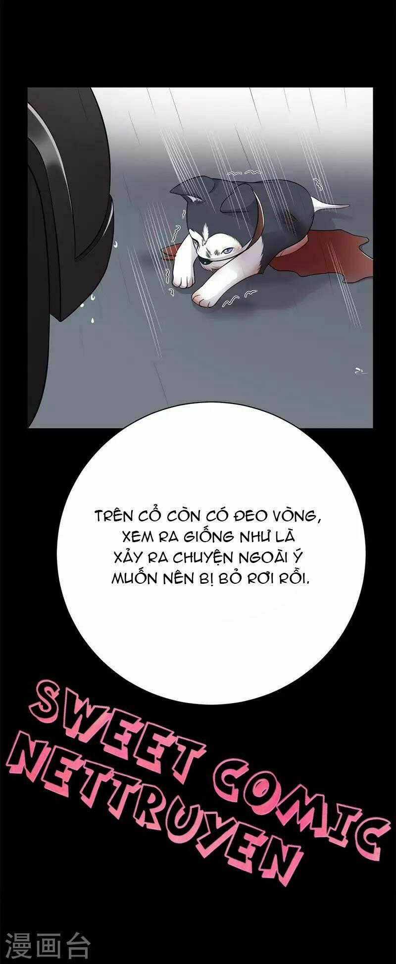 Sủng Thê Thành Nghiện: Lục Thiếu Sủng Từ Đáy Lòng Chapter 15 trang 1