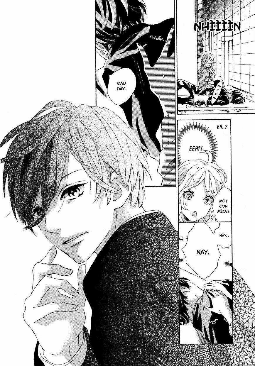 Sunrise Chapter 1 trang 8