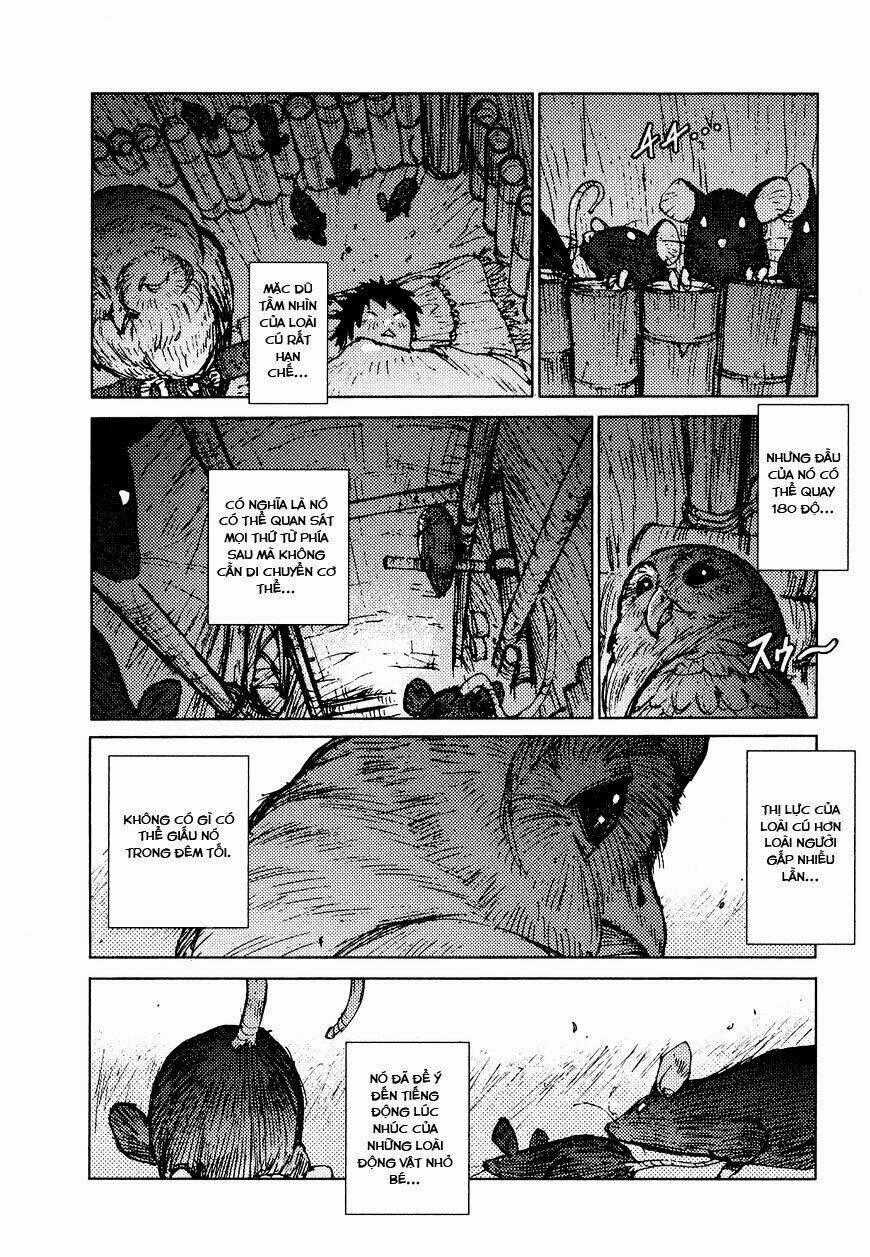 Survival - Shounen S No Kiroku Chapter 25 trang 1