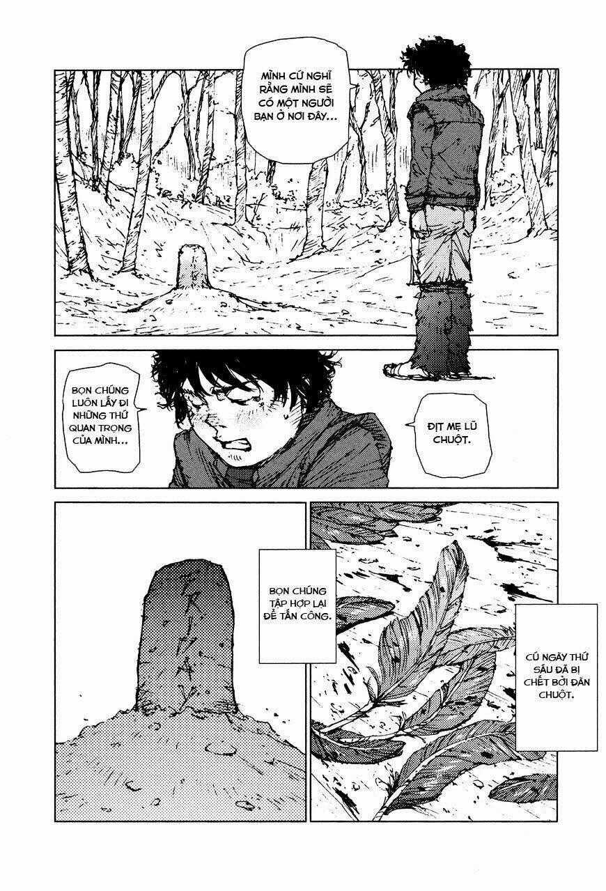 Survival - Shounen S No Kiroku Chapter 28 trang 1