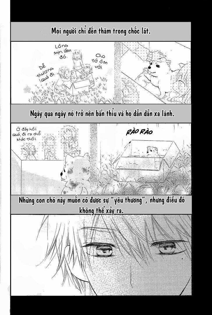 Suteinu Ni Honey Toast Chapter 3 trang 7