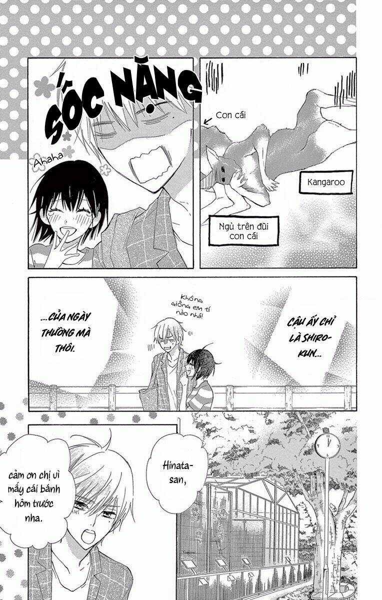 Suteinu Ni Honey Toast Chapter 4 trang 14