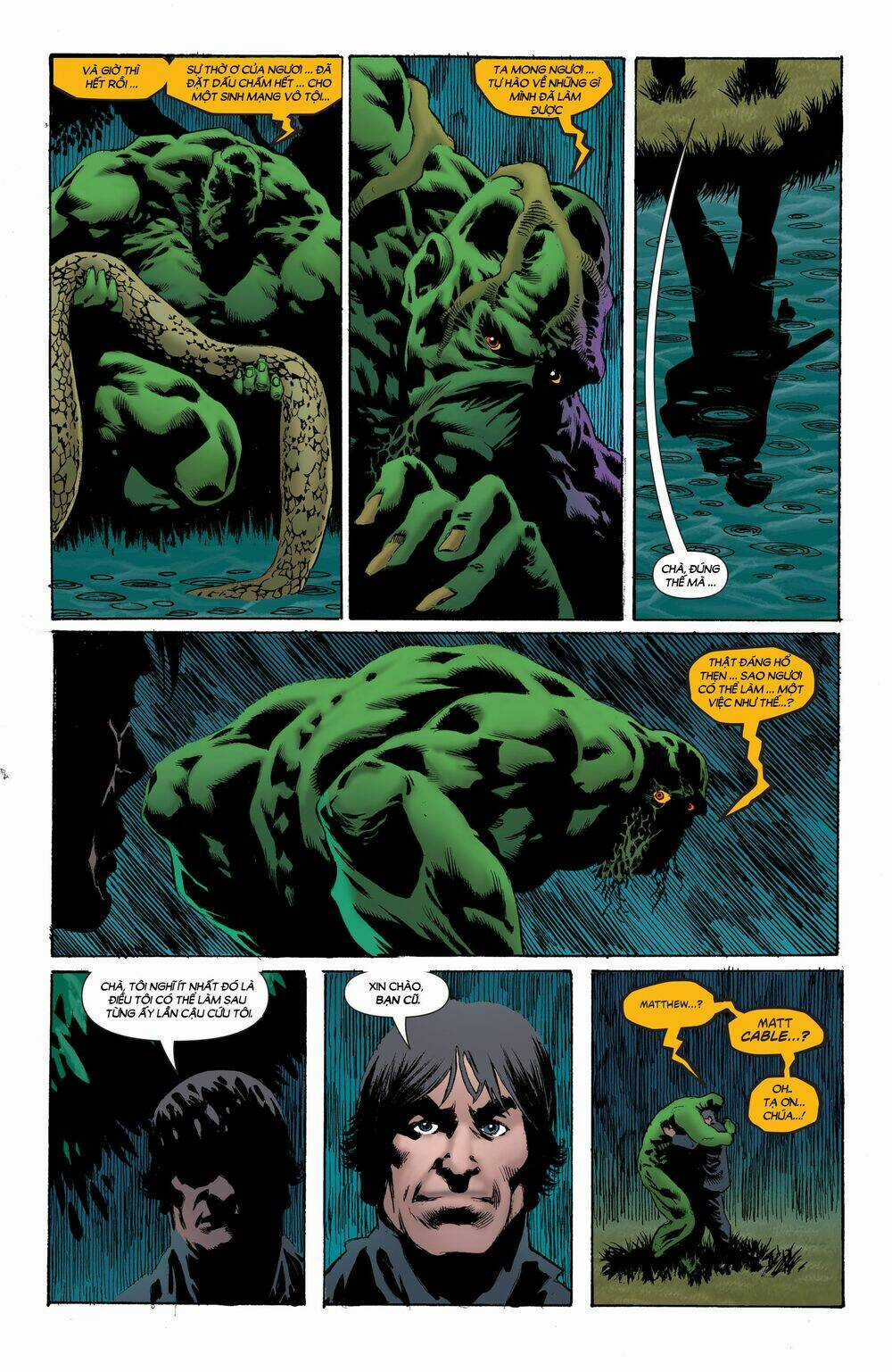 Swamp Thing Chapter 3 trang 4