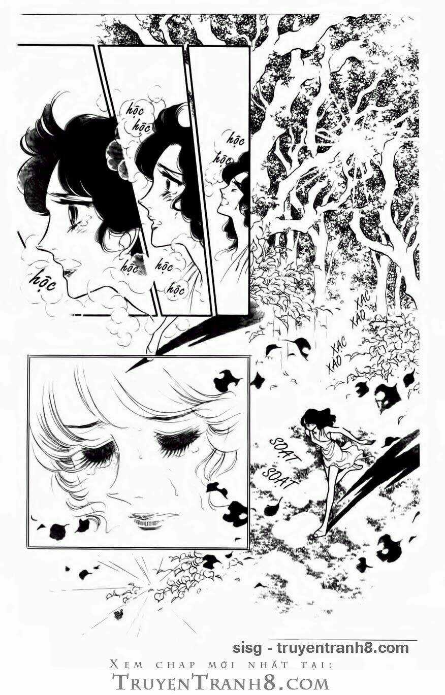 Swan - Vũ Khúc Thiên Nga Chapter 69 trang 5