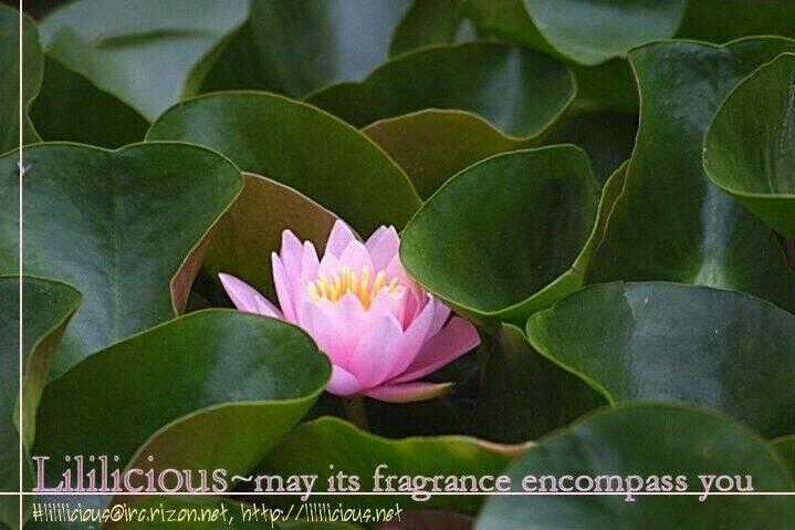 Sweet Temptation Chapter 2 trang 18