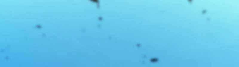 Swordmaster’s Youngest Son Chapter 24 trang 211