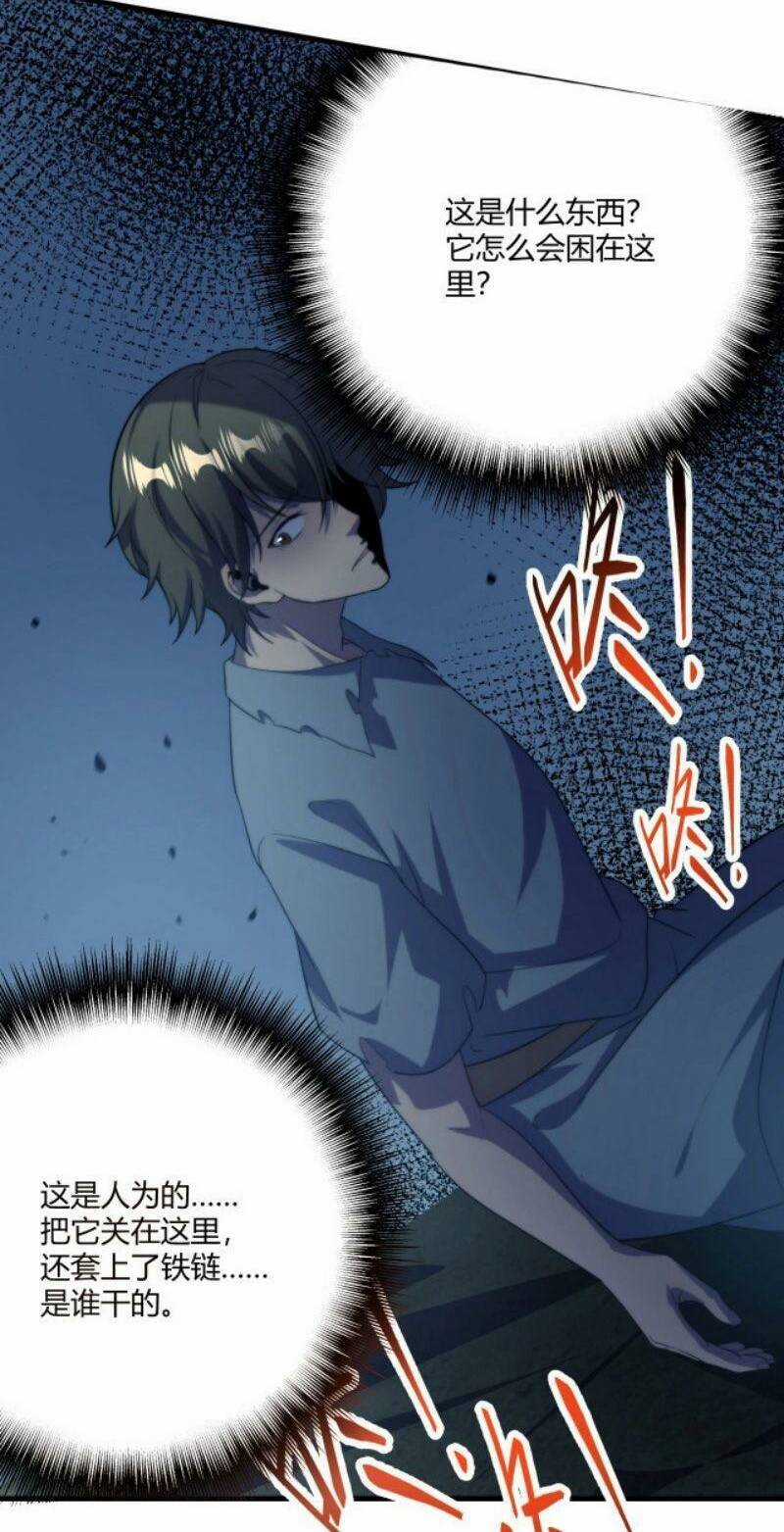 Ta Bắt Đầu Tiến Hóa Sau Khi Nuốt Chửng Ma Thần Chapter 1 trang 43