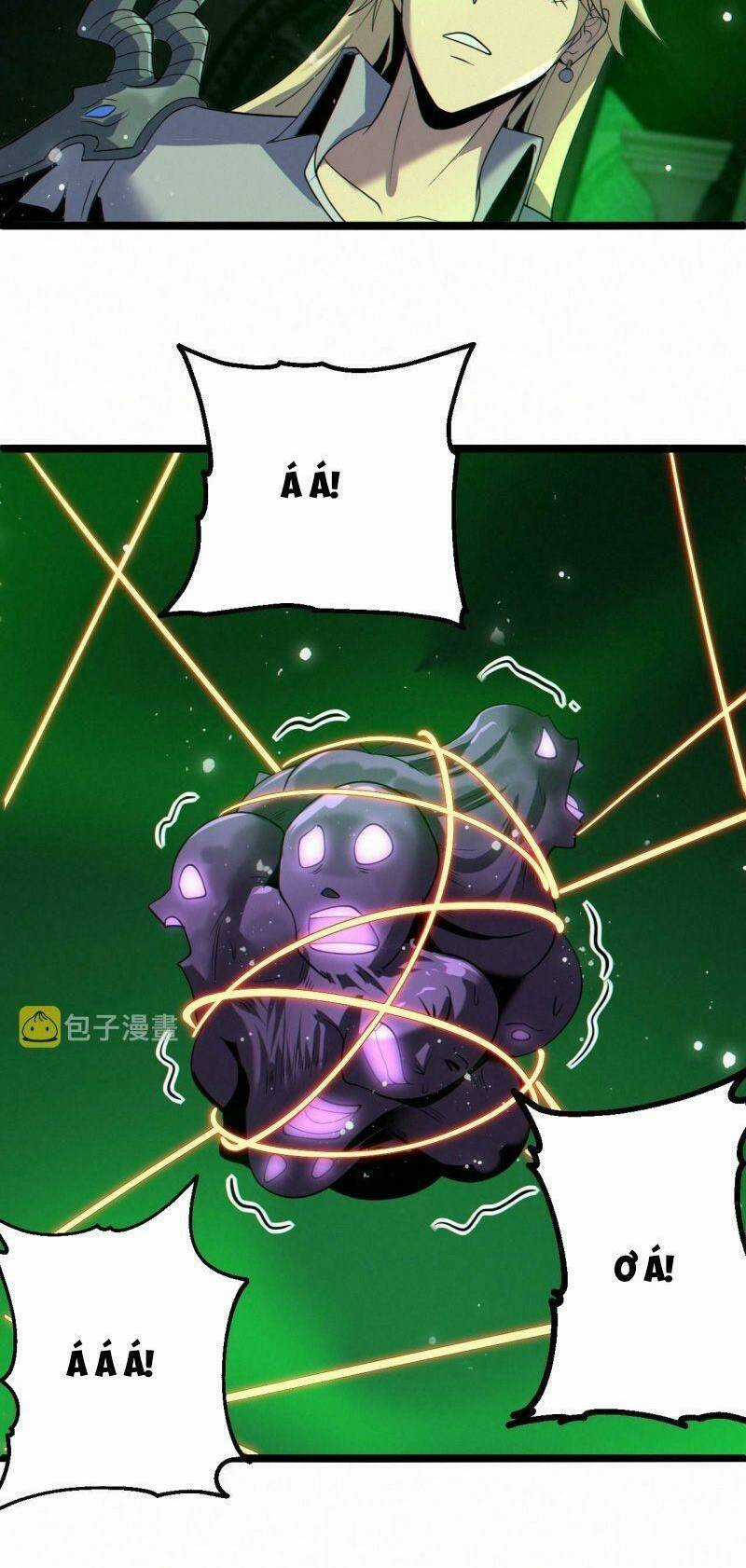 Ta Bắt Đầu Tiến Hóa Sau Khi Nuốt Chửng Ma Thần Chapter 11 trang 11