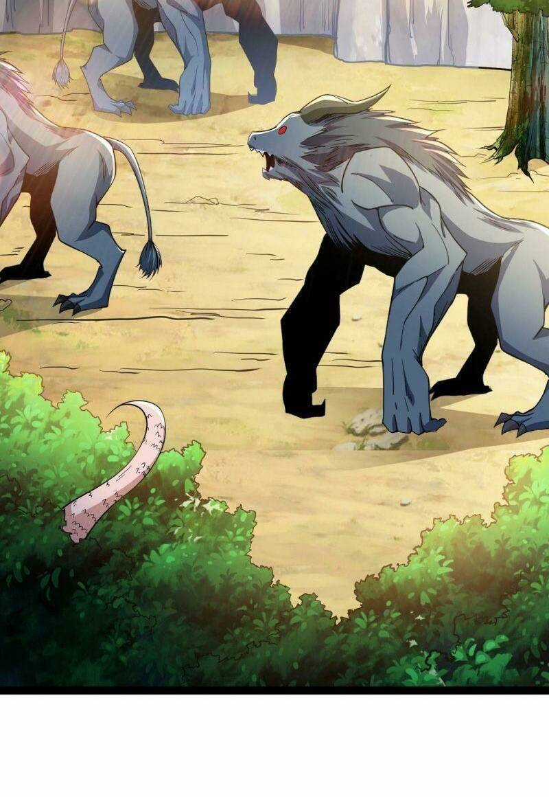 Ta Bắt Đầu Tiến Hóa Sau Khi Nuốt Chửng Ma Thần Chapter 14 trang 19