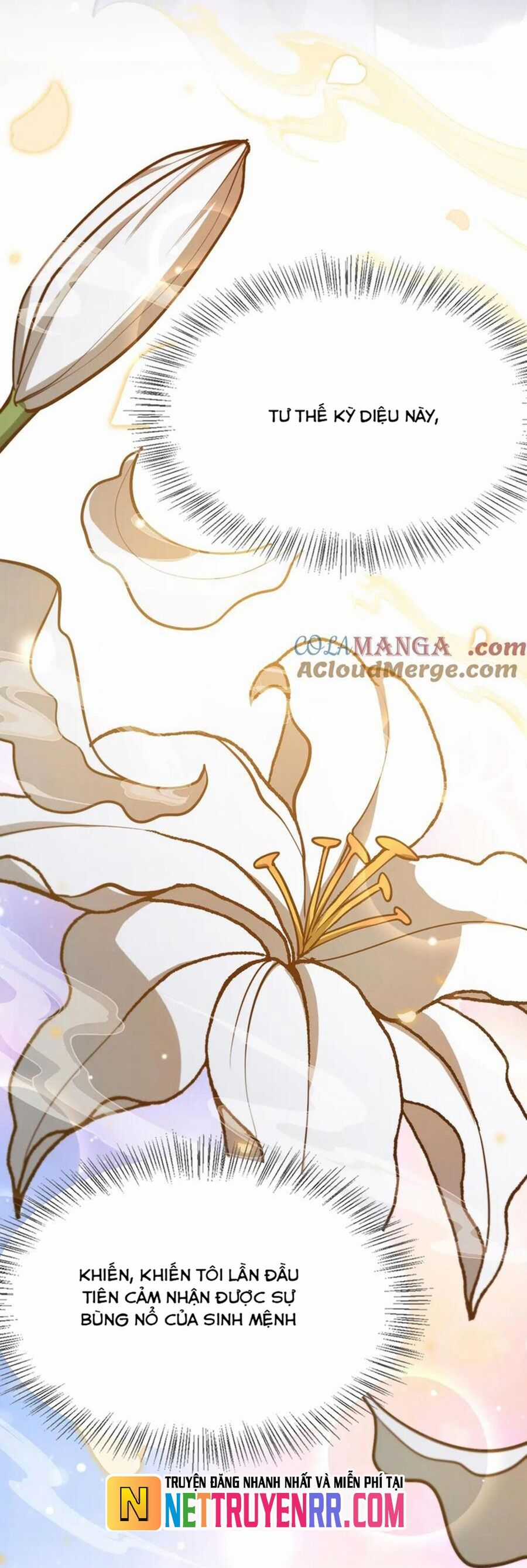 Ta Bị Kẹt Cùng Một Ngày 1000 Năm Chương 193 trang 14