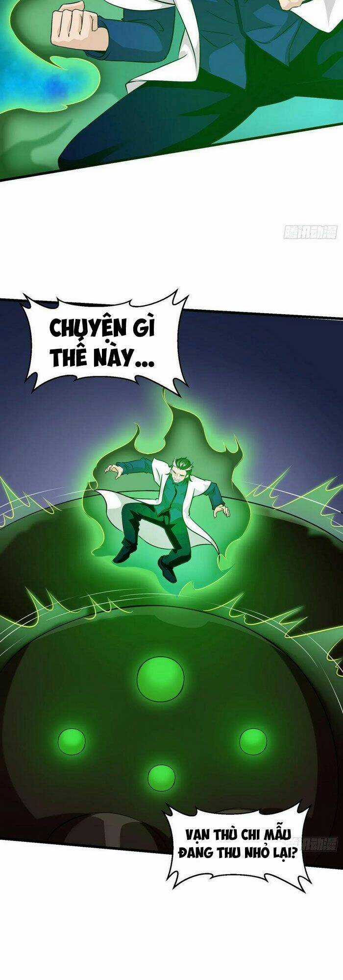 Ta Chẳng Qua Là Một Đại La Kim Tiên Chapter 65 trang 1
