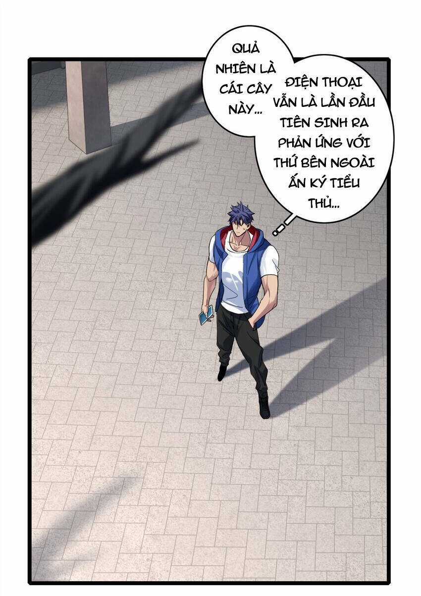 Ta Chỉ Muốn An Tĩnh Chơi Game Chapter 104 trang 51