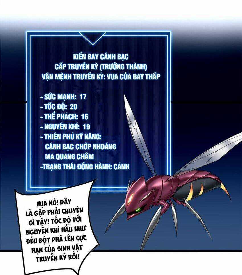 Ta Chỉ Muốn An Tĩnh Chơi Game Chapter 52 trang 7