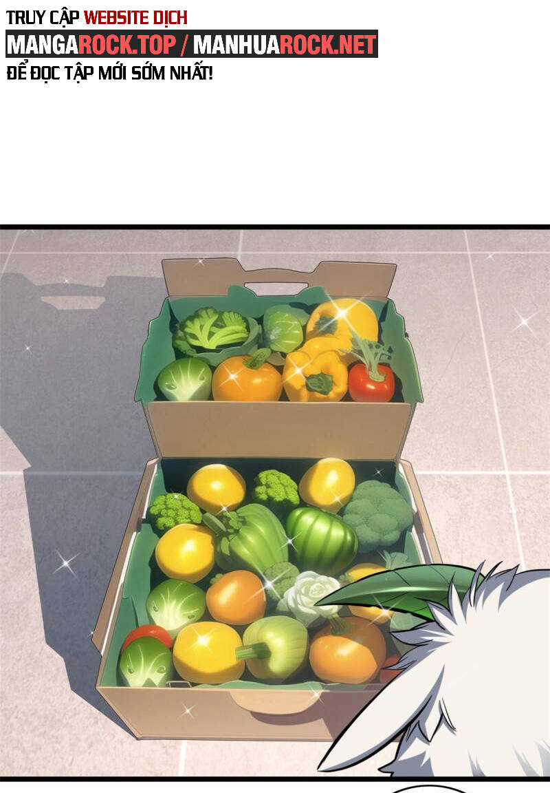 Ta Chỉ Muốn An Tĩnh Chơi Game Chapter 82 trang 23