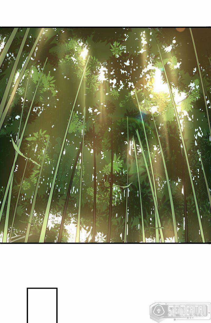 Ta Chỉ Muốn Bị Các Vị Đánh Chết Chương 3 trang 14