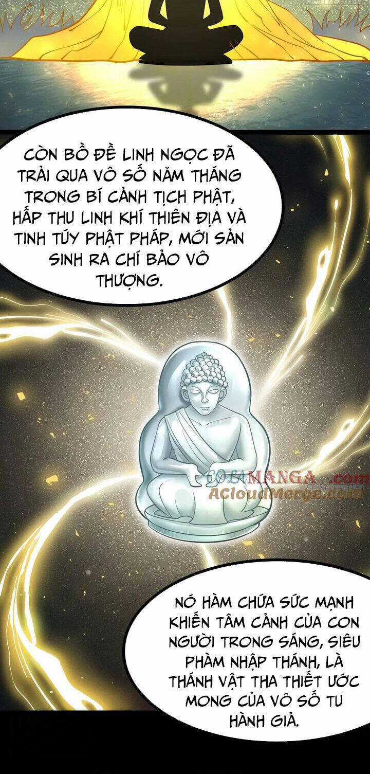 Ta Chính Nghĩa Nhưng Bị Hệ Thống Ép Thành Trùm Phản Diện Chương 112 trang 30