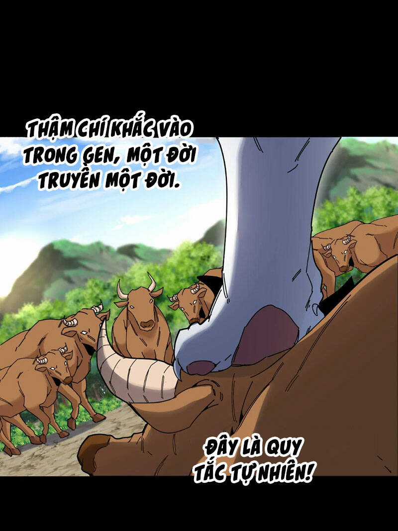 Ta Chuyển Sinh Thành Vạn Yêu Chi Vương Chapter 20 trang 3