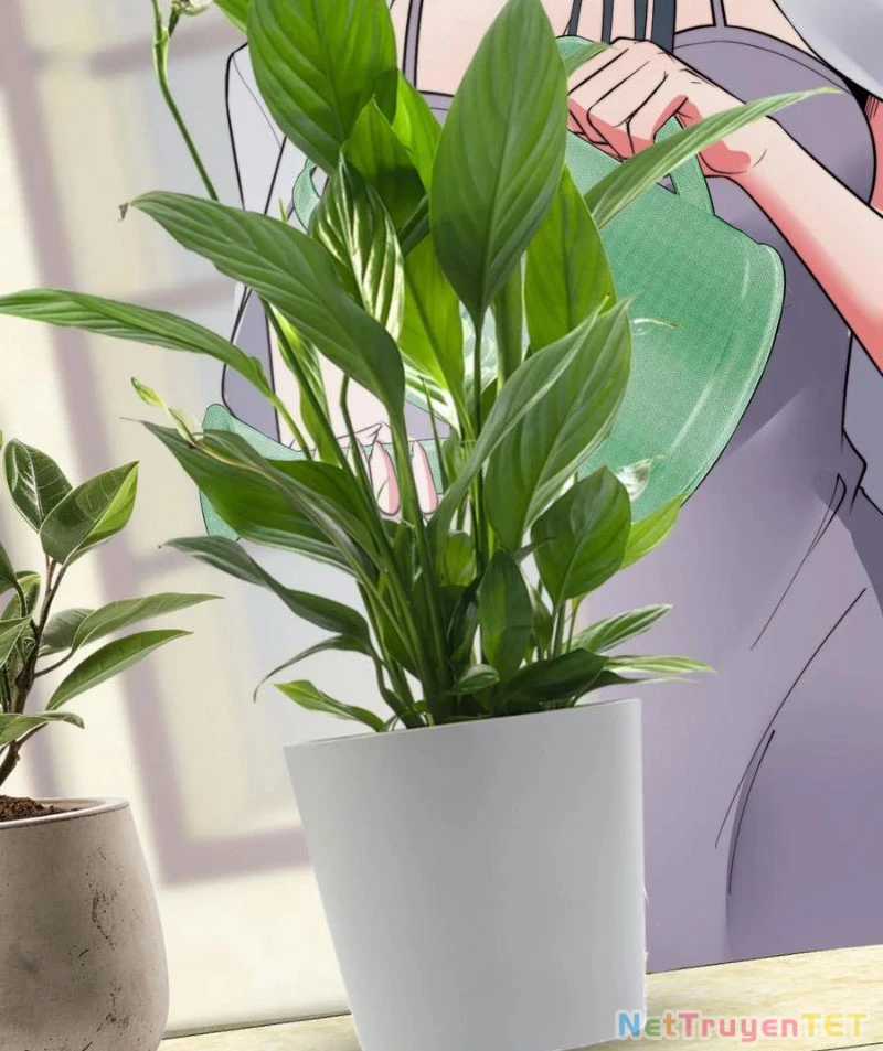 Ta Có 90 Tỷ Tiền Liếm Cẩu! Chapter 489 trang 7