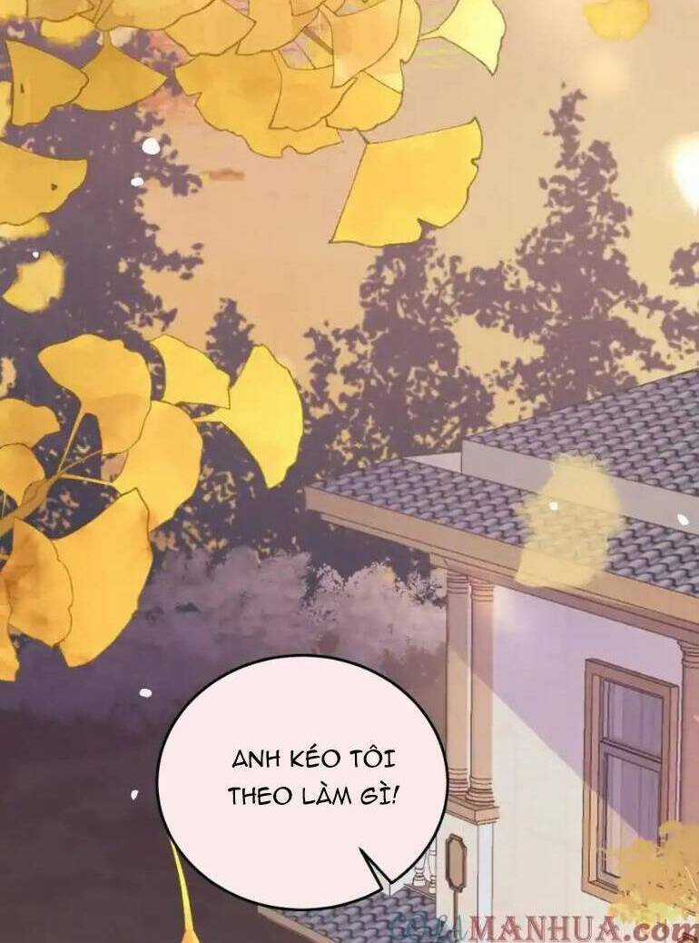 Ta Có Hào Quang Bá Tổng Chapter 19 trang 21