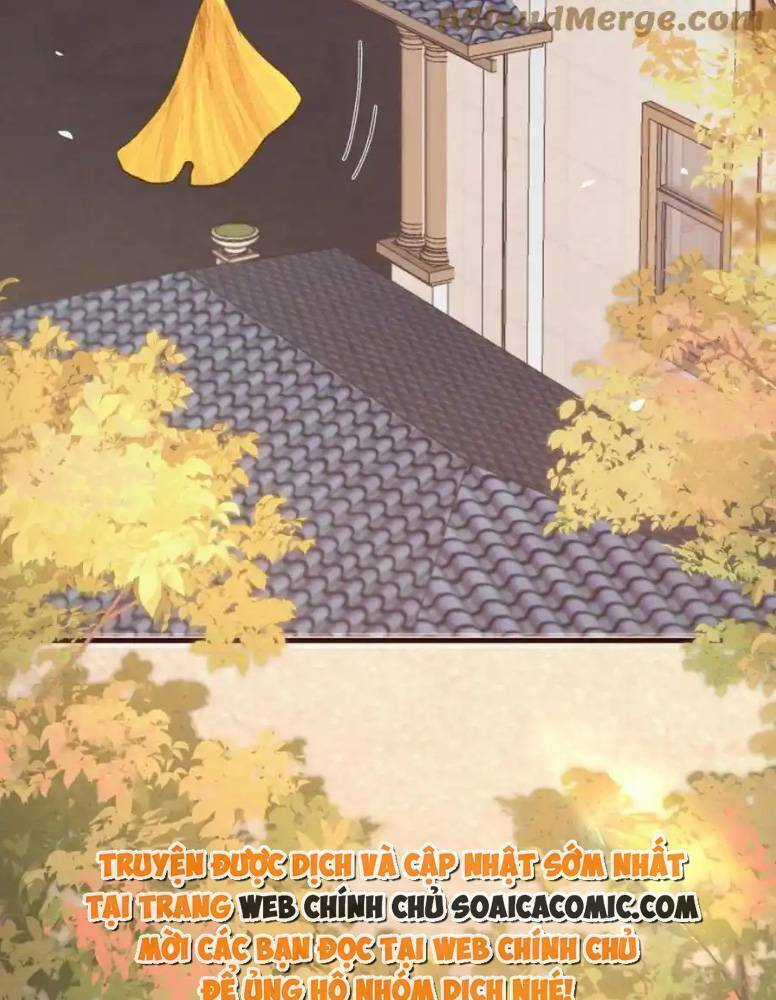 Ta Có Hào Quang Bá Tổng Chapter 19 trang 22