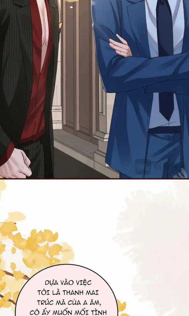 Ta Có Hào Quang Bá Tổng Chapter 19 trang 29