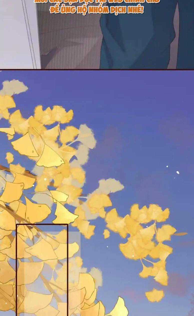 Ta Có Hào Quang Bá Tổng Chapter 19 trang 37