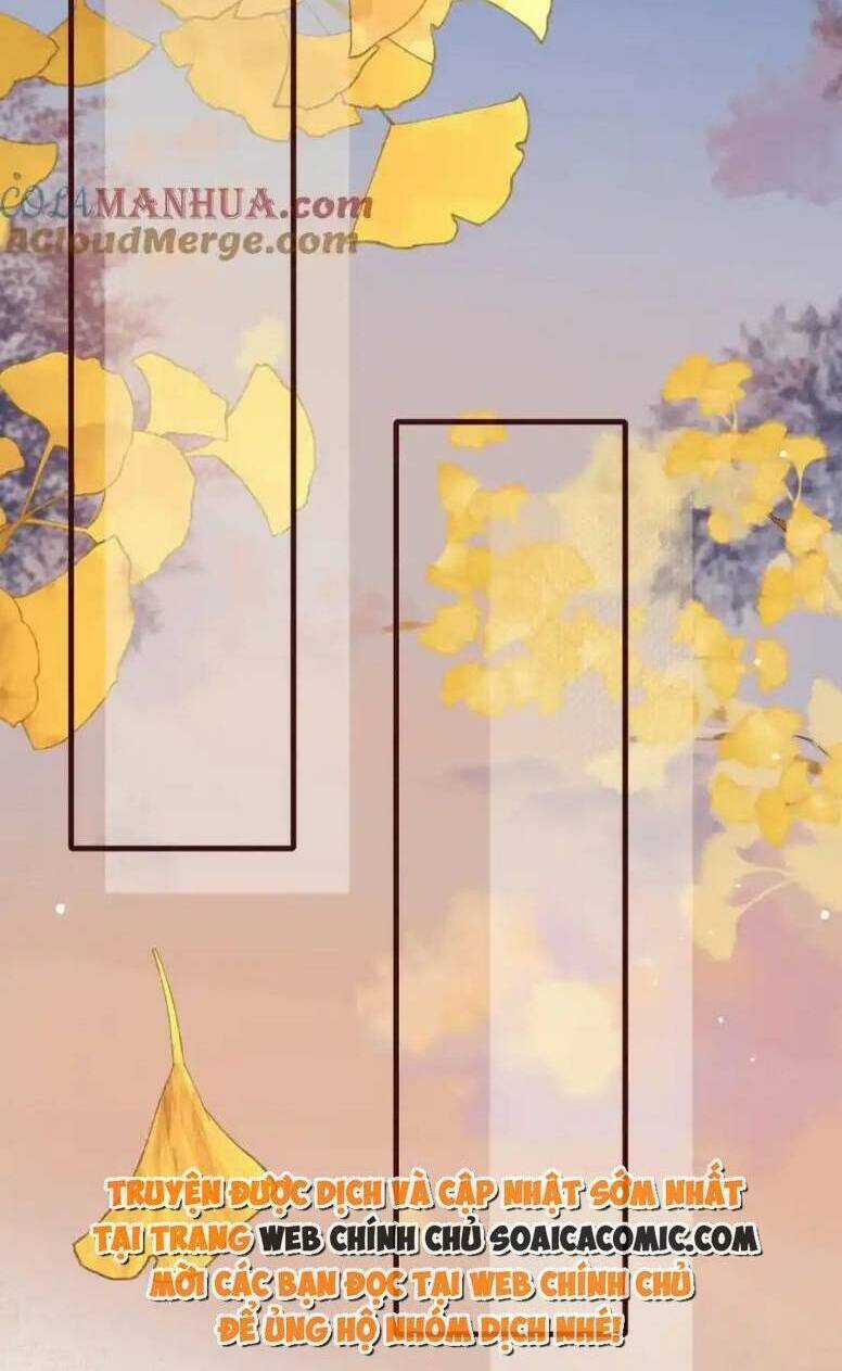 Ta Có Hào Quang Bá Tổng Chapter 19 trang 38