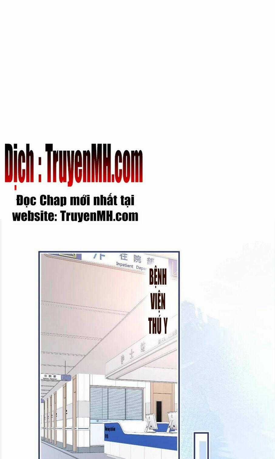 Ta Có Năm Đại Lão Ba Ba Chapter 249 trang 1