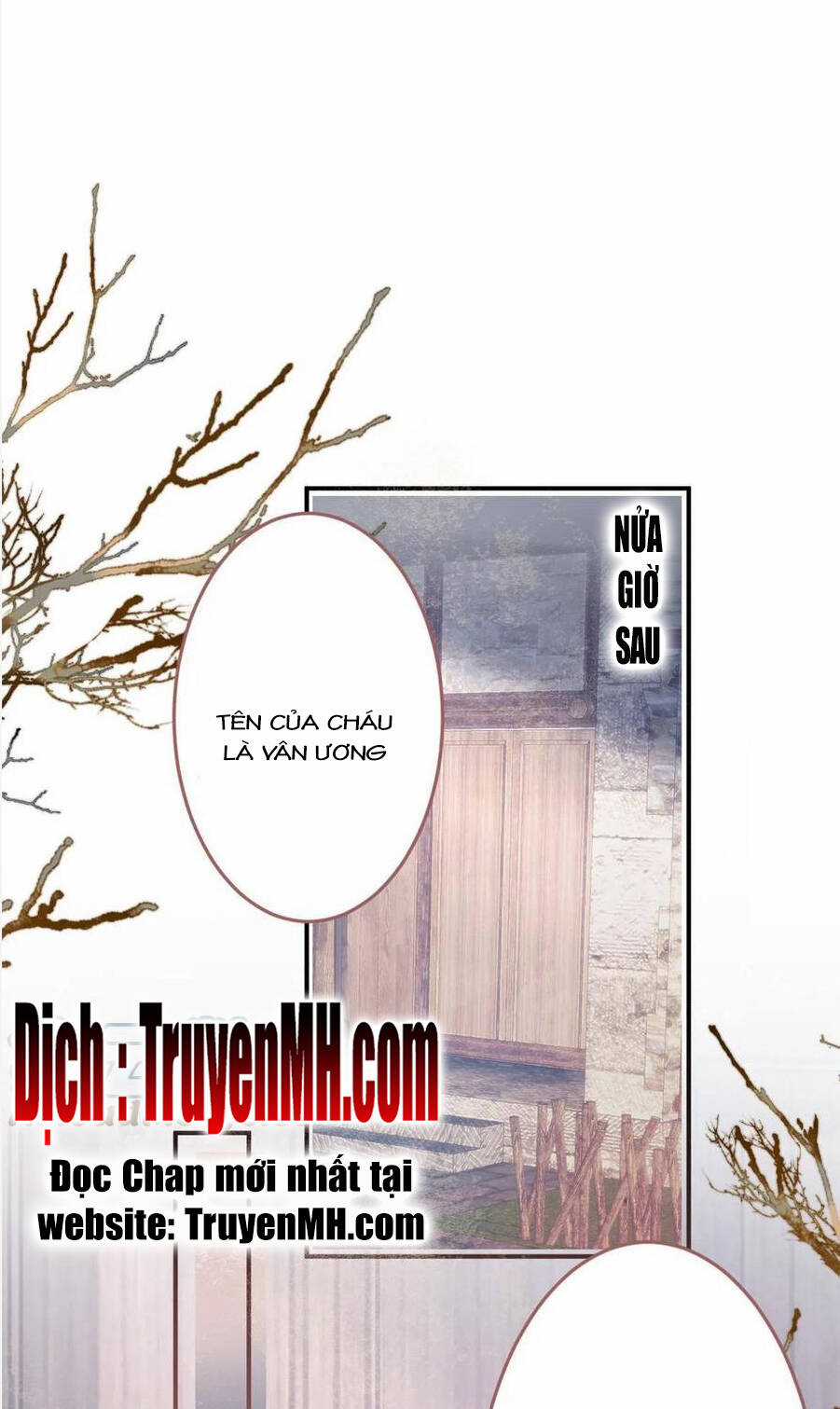 Ta Có Năm Đại Lão Ba Ba Chapter 267 trang 1