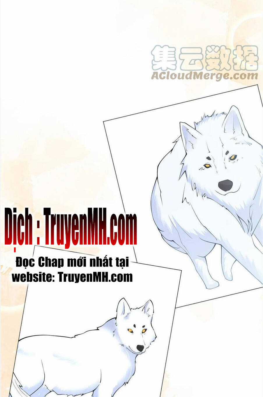 Ta Có Năm Đại Lão Ba Ba Chapter 306 trang 2
