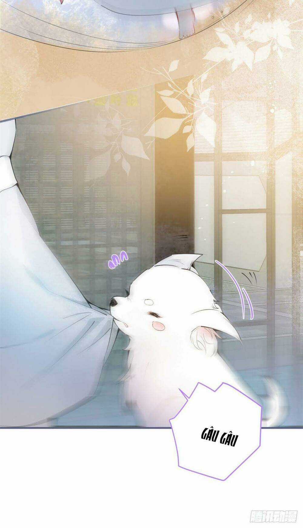 Ta Có Năm Đại Lão Ba Ba Chapter 4 trang 19