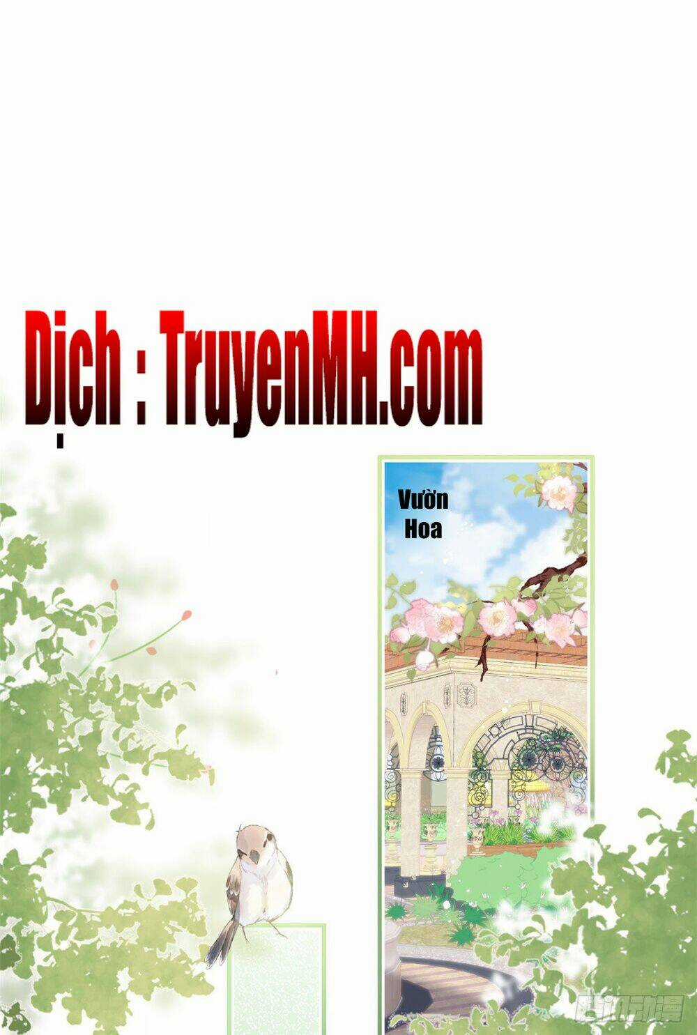 Ta Có Năm Đại Lão Ba Ba Chapter 79 trang 1