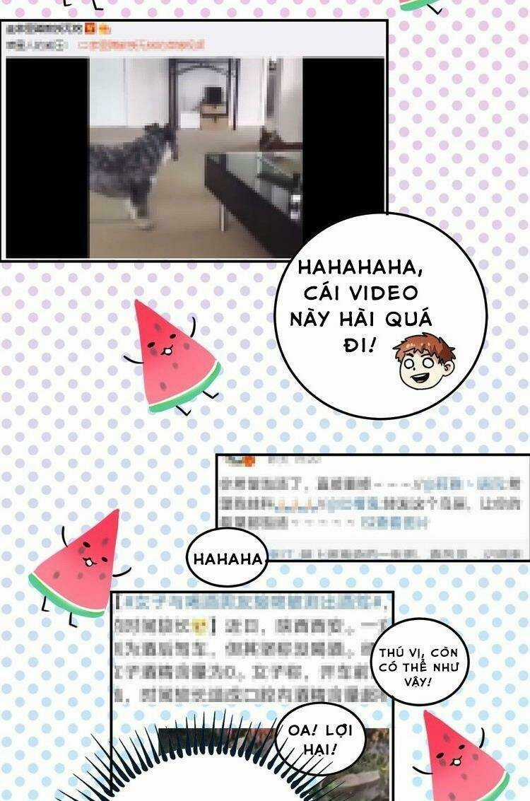 Ta Có Rất Nhiều Thành Tích Chapter 18 trang 12