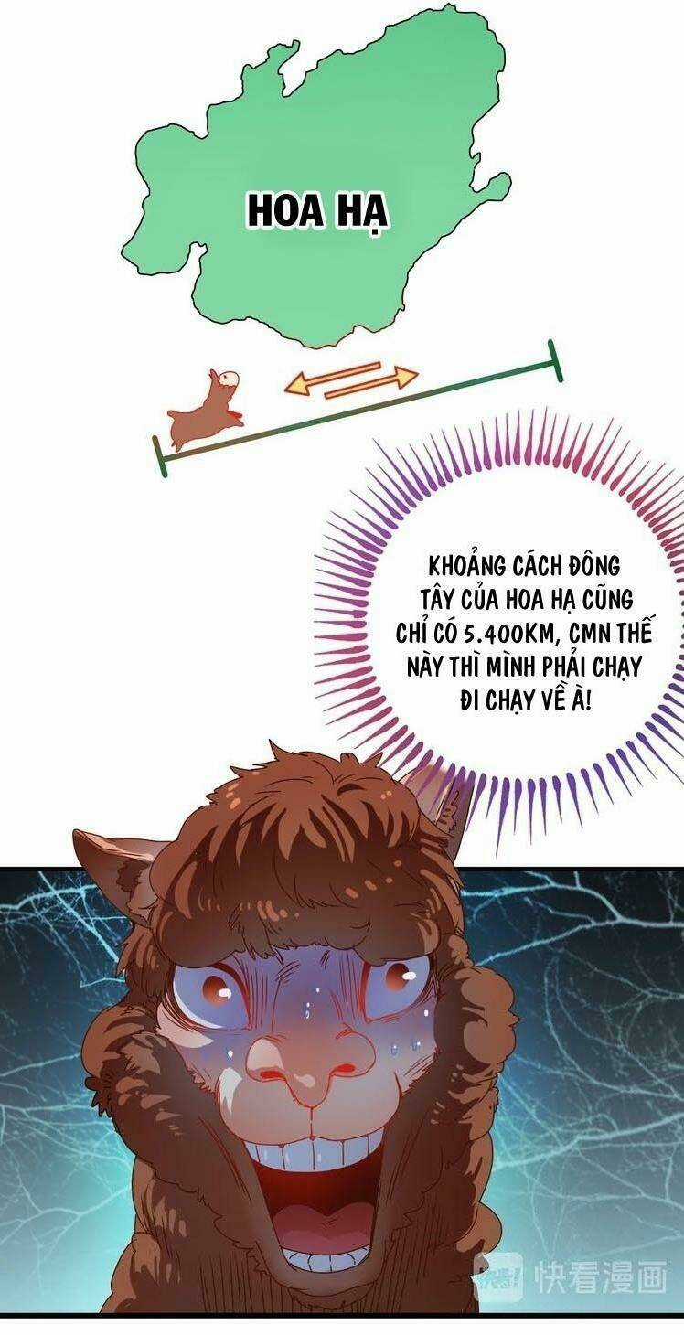 Ta Có Rất Nhiều Thành Tích Chapter 7 trang 4